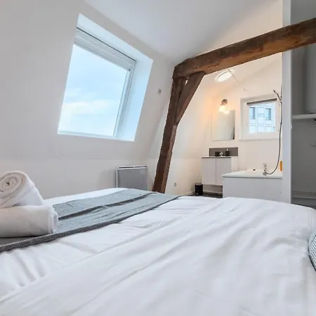 Apartment Charming Rooftop In Old Lille!